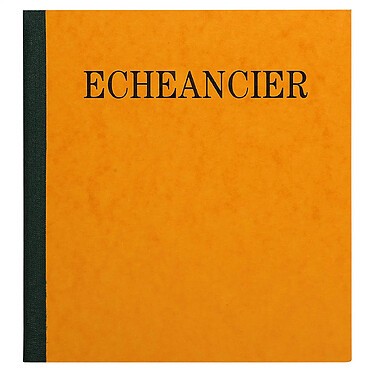 Avis EXACOMPTA Piqûre 21x19cm échéancier tracé journal 80 pages