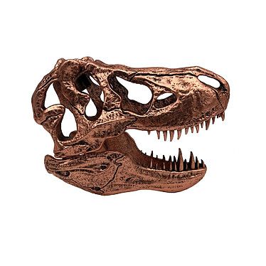 Avis Jurassic Park - Réplique mini T-Rex Skull 10 cm