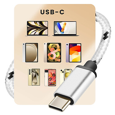 LinQ Câble adaptateur USB-C vers USB OTG 15cm Argent pas cher