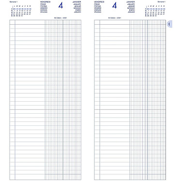 Acheter LECAS Agenda Banquier Long 15 x 34 cm 1 volume 1 jour/2 pages noir