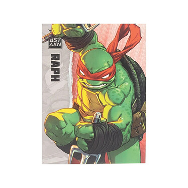 Avis Les Tortues Ninja - Figurine BST AXN Raphael (IDW Comics) 13 cm