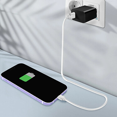 Acheter Clappio Connecteur de Charge pour iPhone 11 de Remplacement Connecteur Lightning Violet