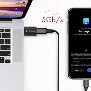 Acheter Swissten Adaptateur USB Mâle 3.0 vers USB-C Transfert de Données et Charge