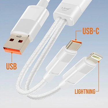 Avis LinQ Câble de Charge et Synchronisation USB vers Lightning et USB-C 60W Blanc