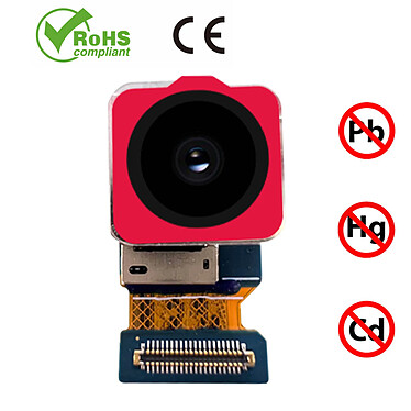 Clappio Caméra Arrière pour Vivo V21 Module Capteur Photo et Nappe de Connexion pas cher