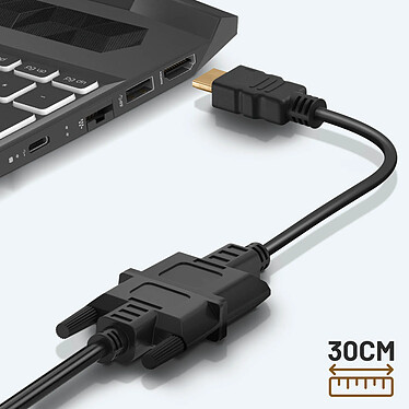 Acheter Avizar Adaptateur Vidéo 30cm  : HDMI mâle vers DVI femelle, Full HD 1080p