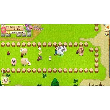 Acheter Harvest Moon Nintendo Switch