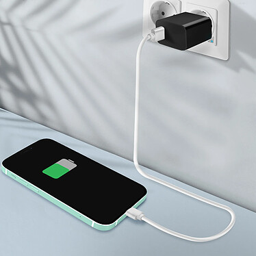 Acheter Clappio Connecteur de Charge pour iPhone 11 de Remplacement Connecteur Lightning Vert