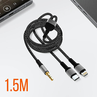 LinQ Adaptateur USB-C + iPhone Lightning vers jack 3.5mm, pas cher