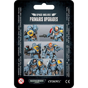 Warhammer 40k - Space Wolves Primaris Upgrades