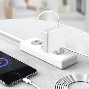 Acheter LinQ Chargeur Secteur pour MacBook Puissance 61W Compact avec Câble USB-C 2m  blanc