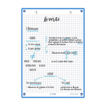 OXFORD Paquet de 32 Fiches Bristol revision 2.0 Perforées 148x210 mm A5 Q5/5 turquoise pas cher