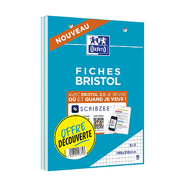 OXFORD Lot de 2 blocs de 30 fiches bristol 148X210 perforées Q5X5 blanc