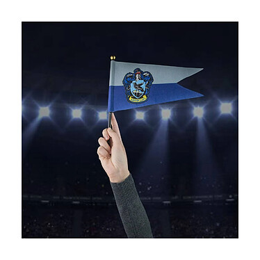 Avis Harry Potter - Drapeau Ravenclaw