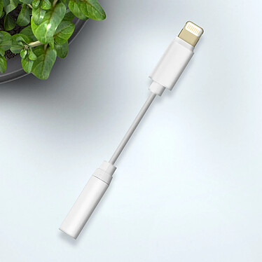 Avizar Adaptateur audio iPhone Lightning mâle vers Jack 3.5mm femelle Blanc pas cher