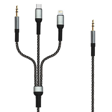 LinQ Câble Audio Multi embouts Jack 3.5mm USB-C Lightning vers Jack 3.5mm 1.5m