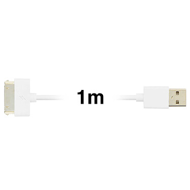 Avis Inkax Câble 1m USB Compatible iPhone iPad iPod 30-broches 2.1A  Charge