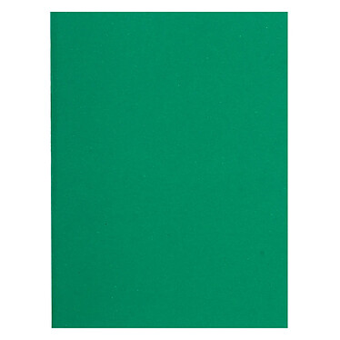 EXACOMPTA Paquet de 100 chemises Flash 220 teintes vives24 x 32 cm Vert foncé x 5