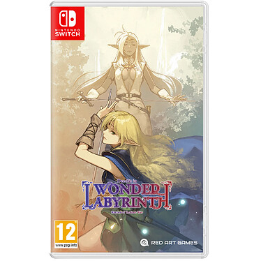 Record Of Lodoss War : Deedlit In Wonder Labyrinth Nintendo SWITCH