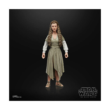 Acheter Star Wars Episode VI - Figurine Black Series Princess Leia (Ewok Village) 15 cm