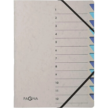 PAGNA Trieur 'Easy Grey', A4, 12 compartiments, bleu x 5