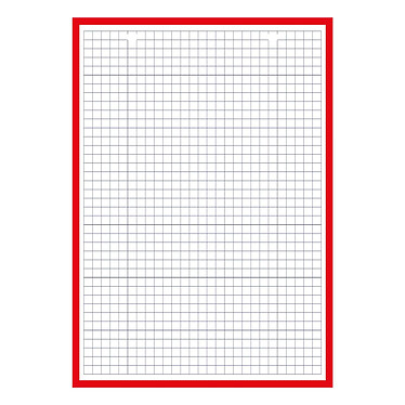 Avis OXFORD Bloc de 30 Fiches Bristol Perforées A5 Q5/5 Bordures rouges