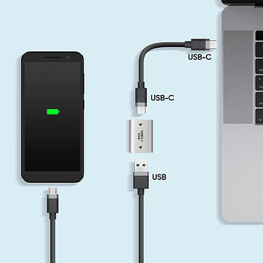 Avis Avizar Rallonge USB C femelle vers USB 3.1 femelle Transferts rapide 10Gbps Compact  argent