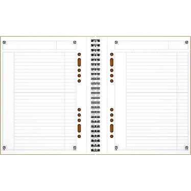 Avis OXFORD Cahier NOTEBOOK spirale 17x21cm 160P perforées 80g lignées 6m-orange