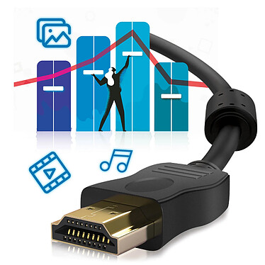 Avis Avizar Câble HDMI Mâle vers VGA Mâle 15 Broches 1.8m Transmission Audio et Vidéo  Noir