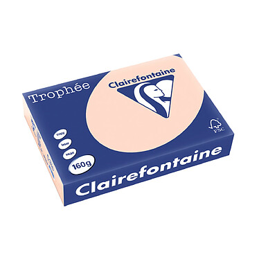 CLAIREFONTAINE Ramette 250 Feuilles Papier 160g A4 210x297 mm Certifié FSC SAUMON x 4