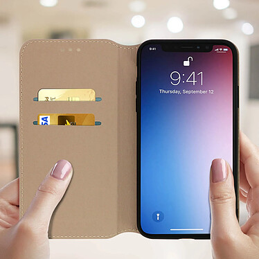 Avis Avizar Etui folio Dorée pour Apple iPhone 11 Pro Max