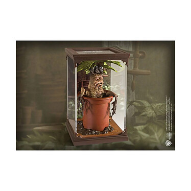 Avis Harry Potter - Statuette Magical Creatures Mandrake 13 cm