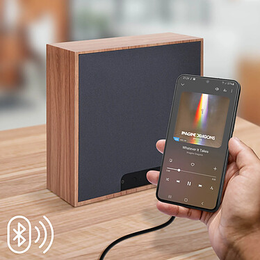 Acheter Color Block Enceinte Lumineuse Multifonction , Haut-Parleurs Bluetooth, Charge Induction Néon Arc en Ciel