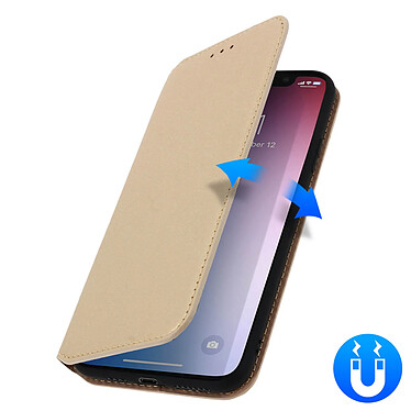 Avizar Etui folio Dorée pour Apple iPhone 11 Pro Max pas cher