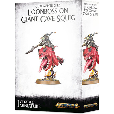 Warhammer AoS - Gloomspite Gitz Loonboss sur Giant Cave Squig