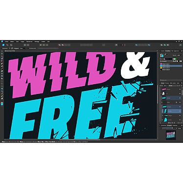 Acheter Affinity Designer v2 - Licence perpétuelle - 1 PC - A télécharger