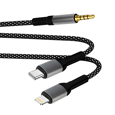 LinQ Adaptateur USB-C + iPhone Lightning vers jack 3.5mm,