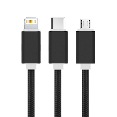 Acheter Avizar Cable USB 1m Triple Embouts Compatible iPhone iPad iPod Micro-USB USB type C