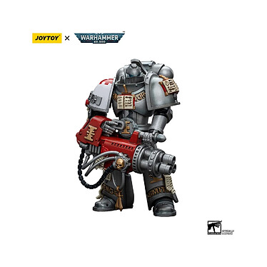 Warhammer 40k - Figurine 1/18 Grey Knights Strike Squad Grey Knight with Psilencer 12 cm