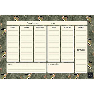 Acheter EXACOMPTA Hebdo planner Color Design Bloc 60 feuilles - H 18 x L26,5 cm