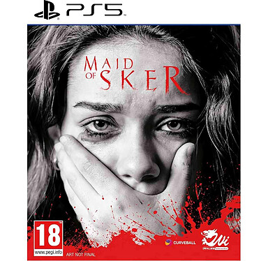 Maid of Sker (PS5)