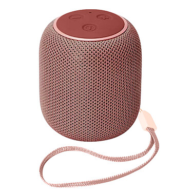 Avizar Mini Enceinte Bluetooth Radio FM et Slot Micro-SD Portable avec Dragonne  rose