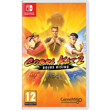 Cobra Kai 2 Dojos rising Nintendo SWITCH