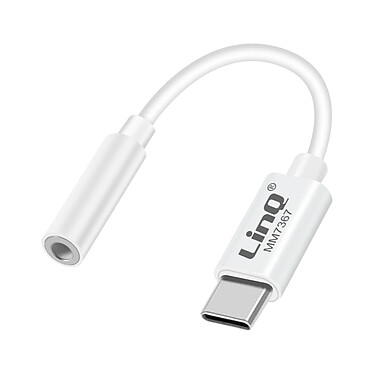 LinQ Adaptateur Audio USB C vers Jack 3.5mm Compatible commande vocale Blanc