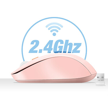 Acheter LinQ Souris Sans Fil Bluetooth ou WiFi 2.4Ghz Précision et Confort Rose Poudré