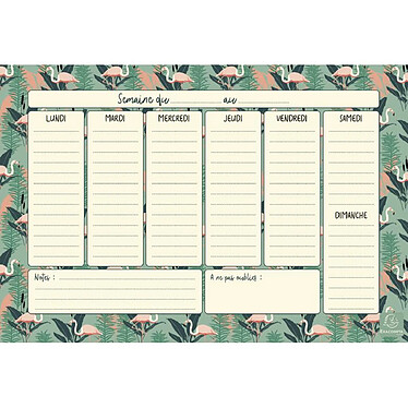 Avis EXACOMPTA Hebdo planner Color Design Bloc 60 feuilles - H 18 x L26,5 cm