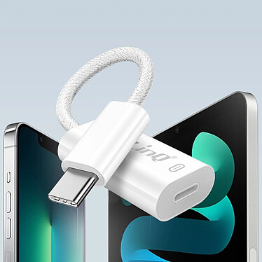 Acheter LinQ Adaptateur USB C vers Lightning Charge Rapide Power 60W Delivery Blanc