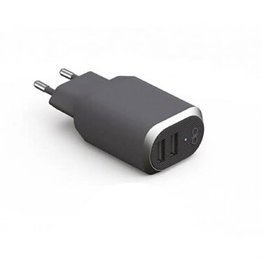 Force Power Double Chargeur maison USB A+A 4.8A FastCharge Rapide et intelligent Gris