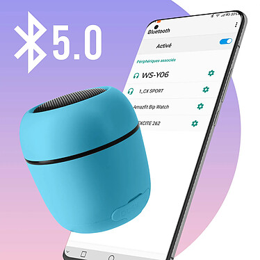 Avizar Enceinte Portable Bluetooth 5.0 Puissance Sonore 5W Radio FM Micro et Dragonne WSY06  bleu pas cher