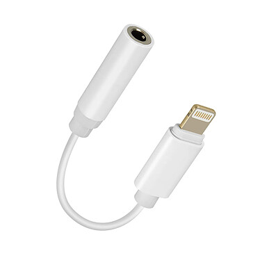 Avizar Adaptateur audio iPhone Lightning mâle vers Jack 3.5mm femelle Blanc